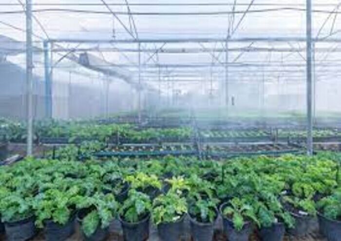 MISTING HUMIDIFICATION SYSTEM